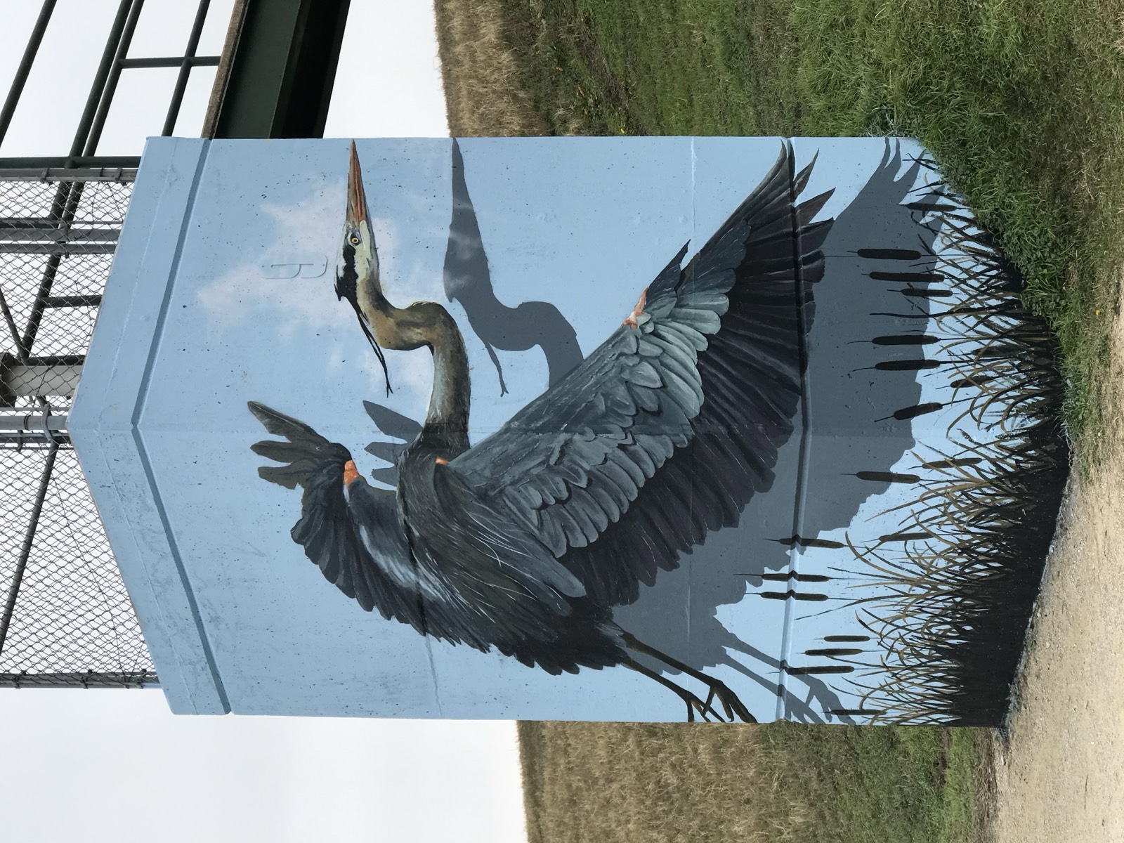Wings Over the Trinity — Blue Heron