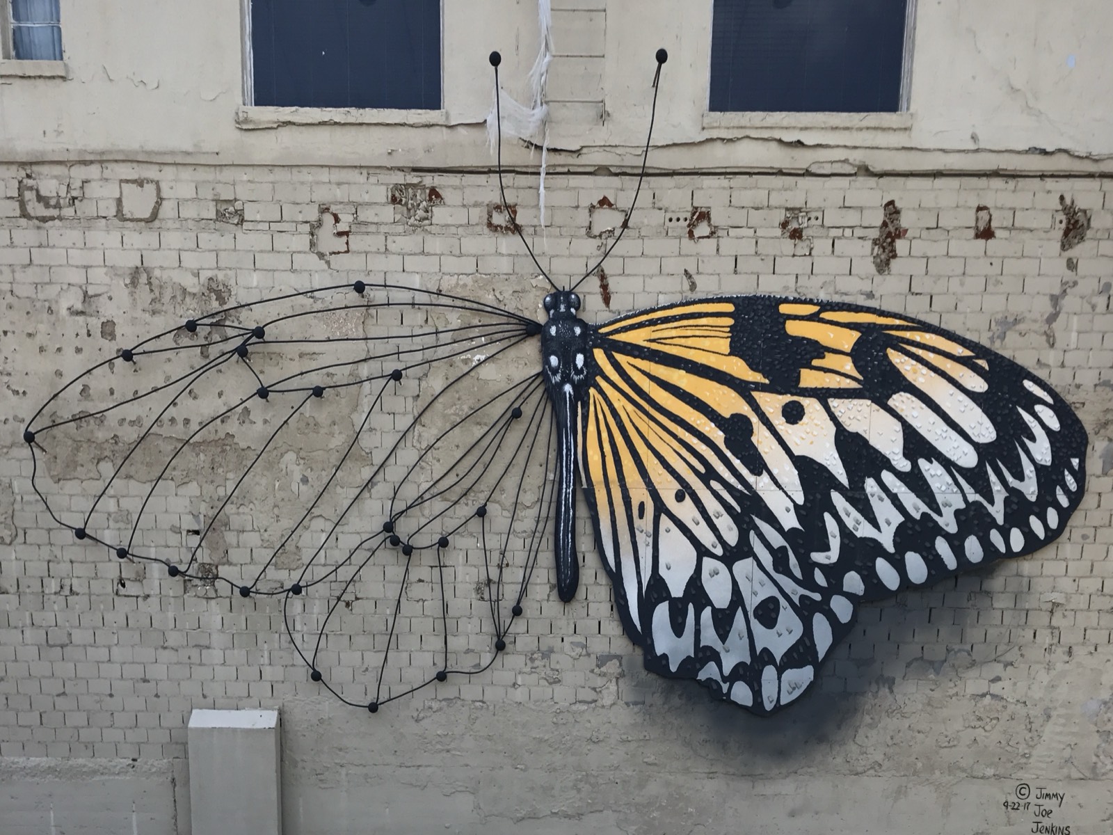 Transformation — Butterfly on the Hill