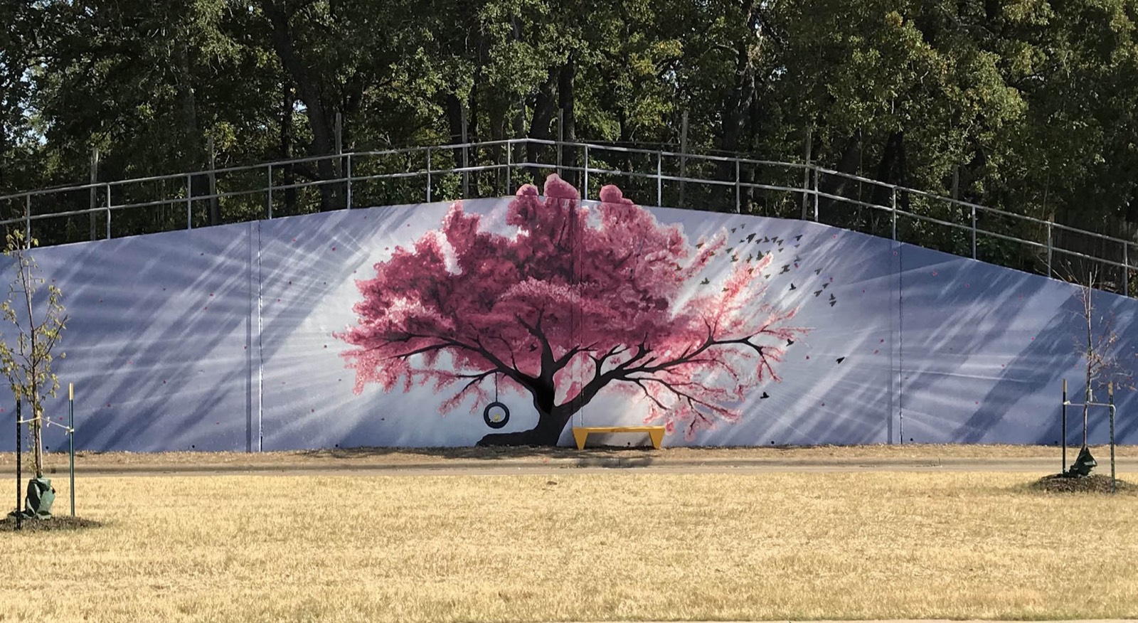 The Giving Tree — Cherry Blossom