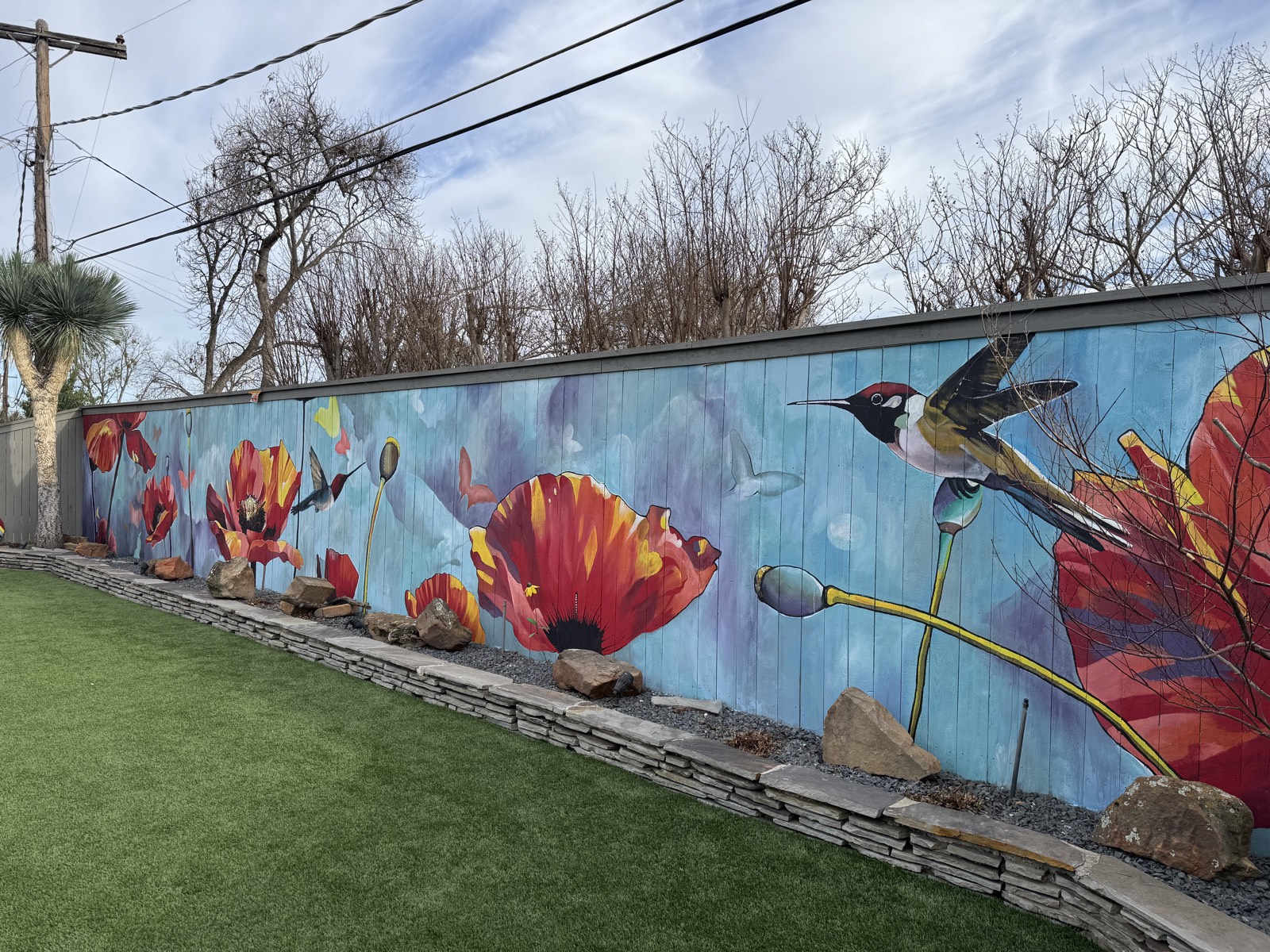 Wild Harmony — Poppies & Pollinators