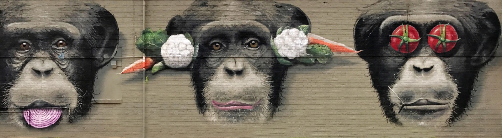 Three Wise Monkeys — Perspective