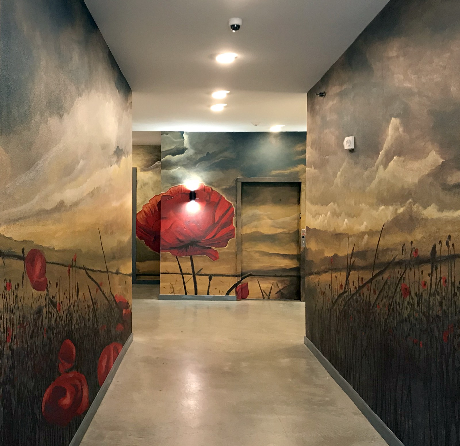 Four Seasons of Poppies — A Journey Through Time