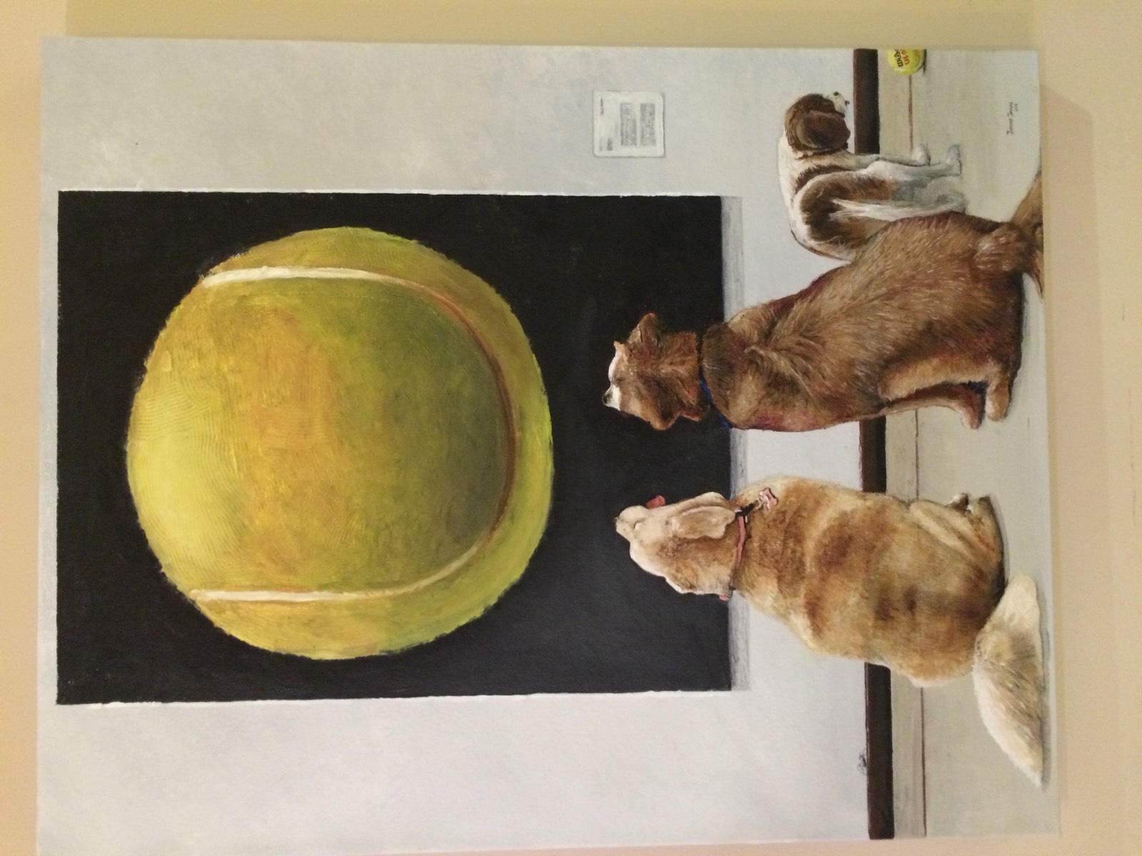 Non-Conformist — Seeing Beyond the Ball